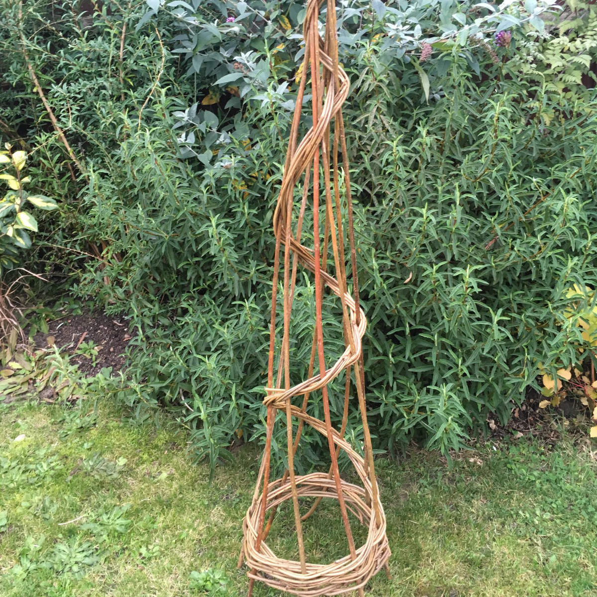 Plant Support as square