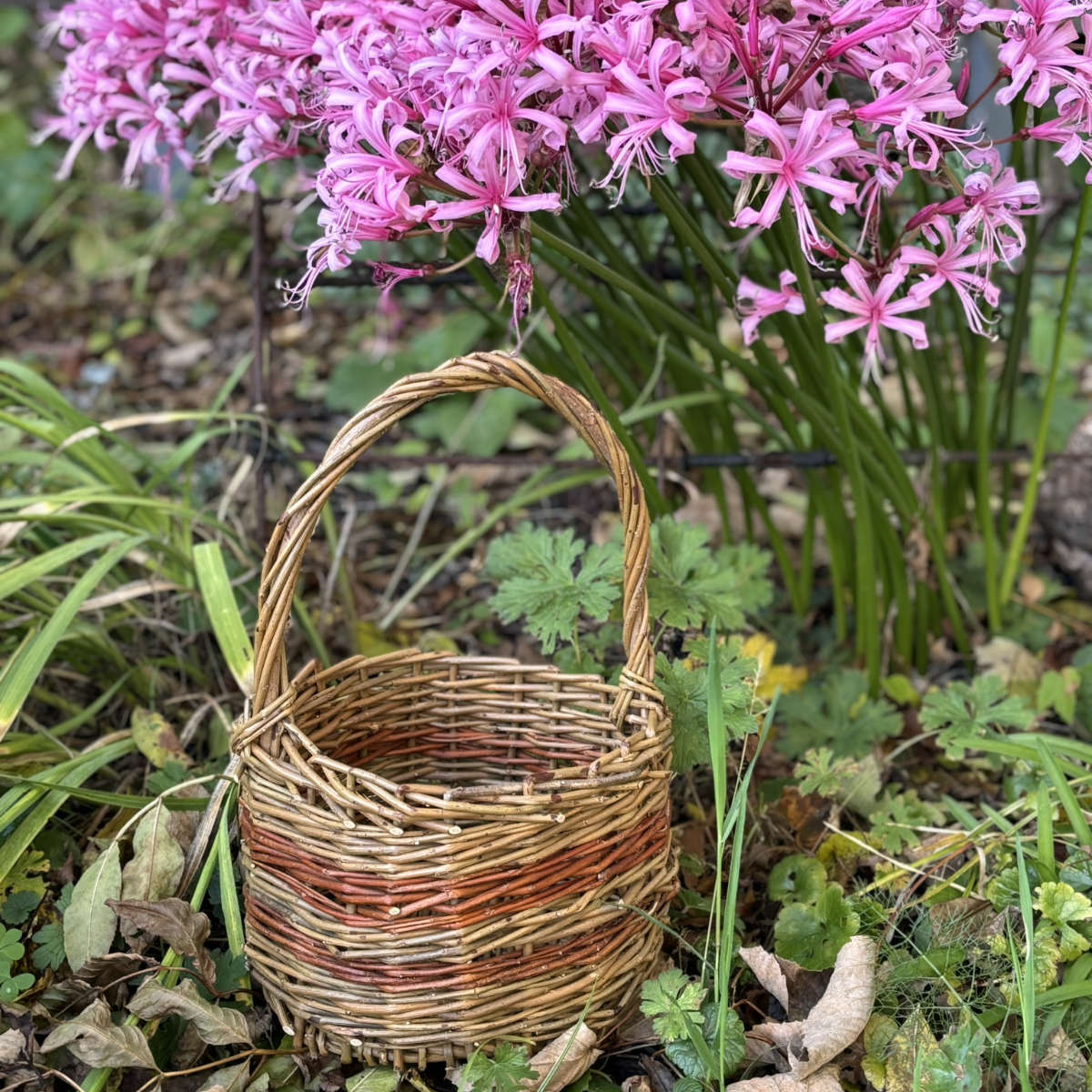 Basket among flowers