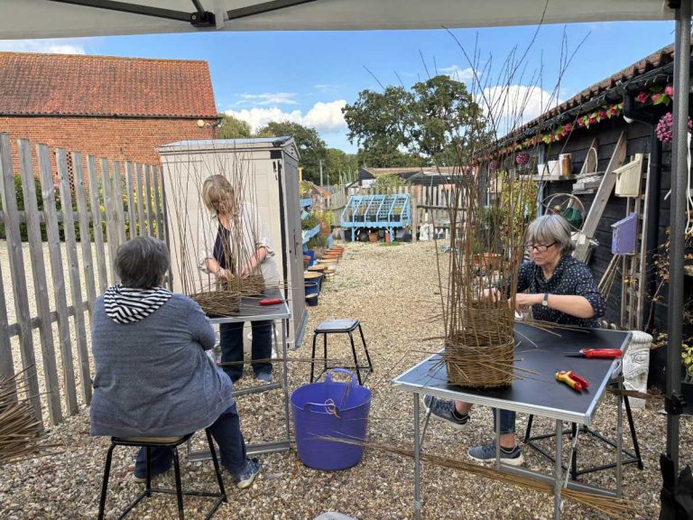 Gallery showing groups and their creations