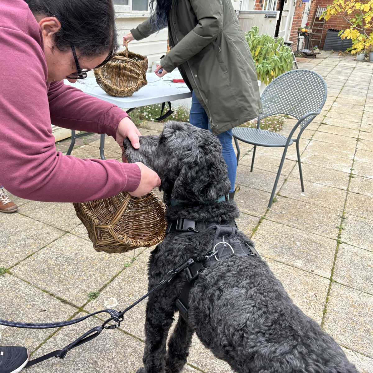 Dog in attendance helping