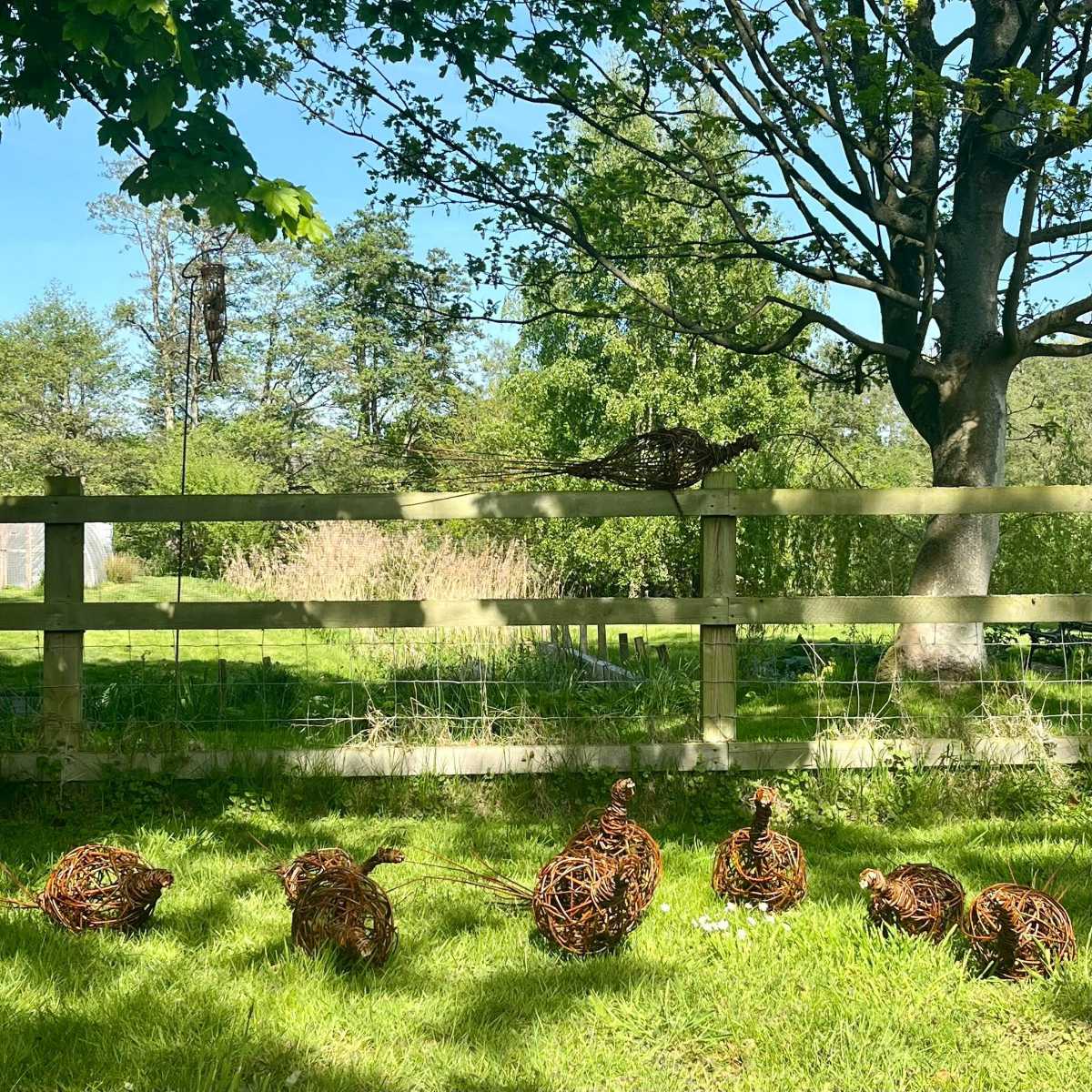 Pheasant workshop